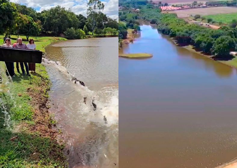 Descrição da imagem