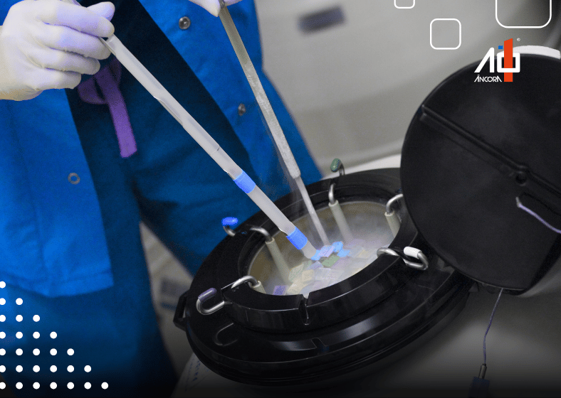 Descrição da imagem