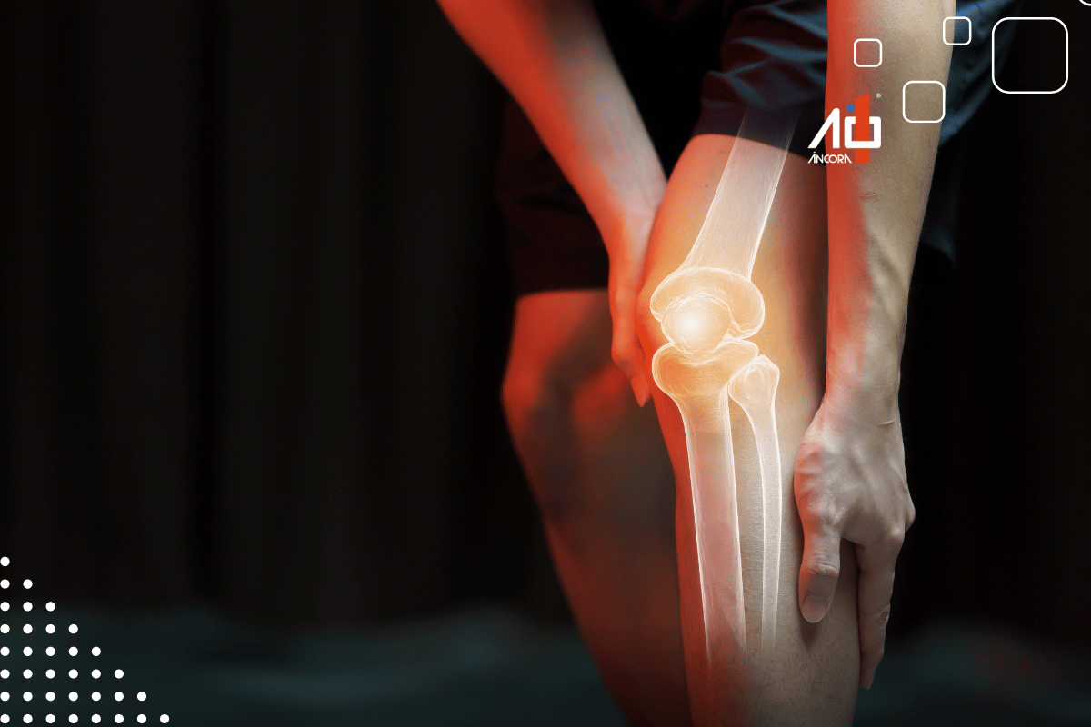 Descrição da imagem