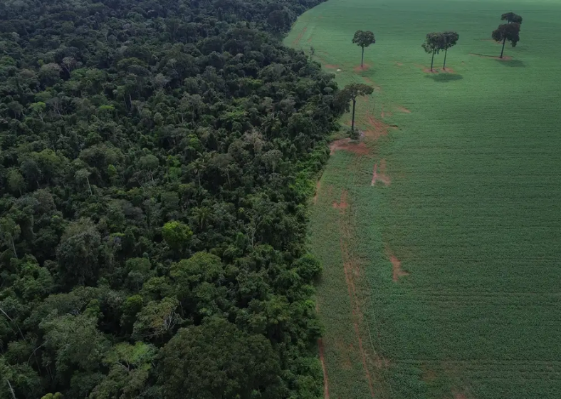 Descrição da imagem