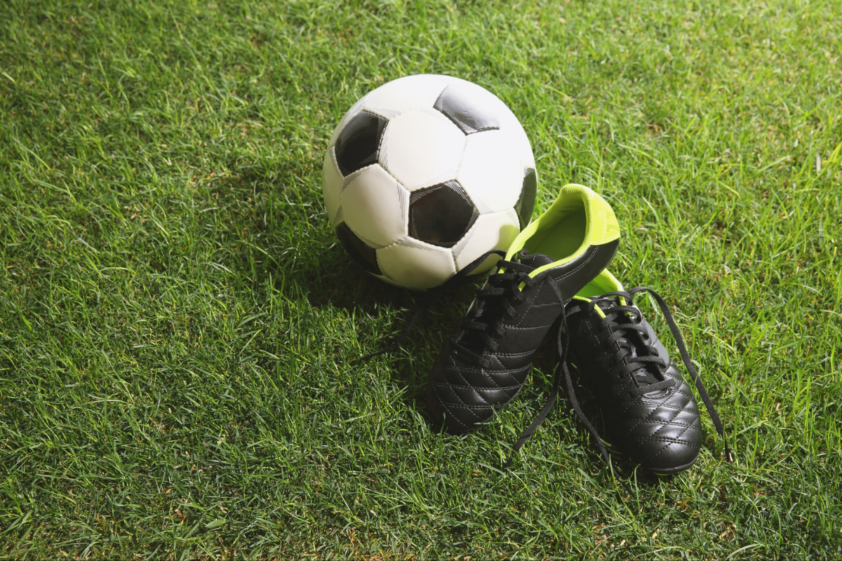 Descrição da imagem