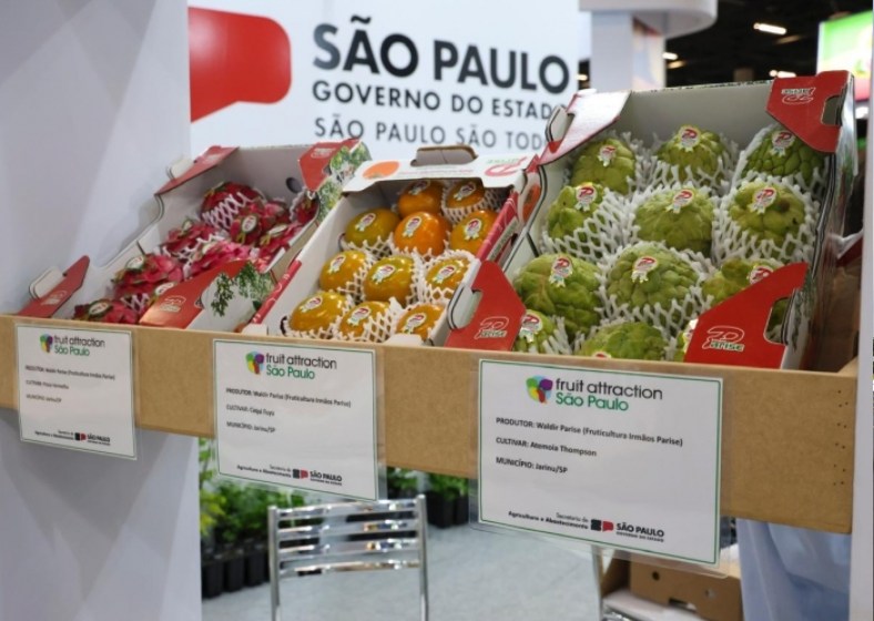 Descrição da imagem
