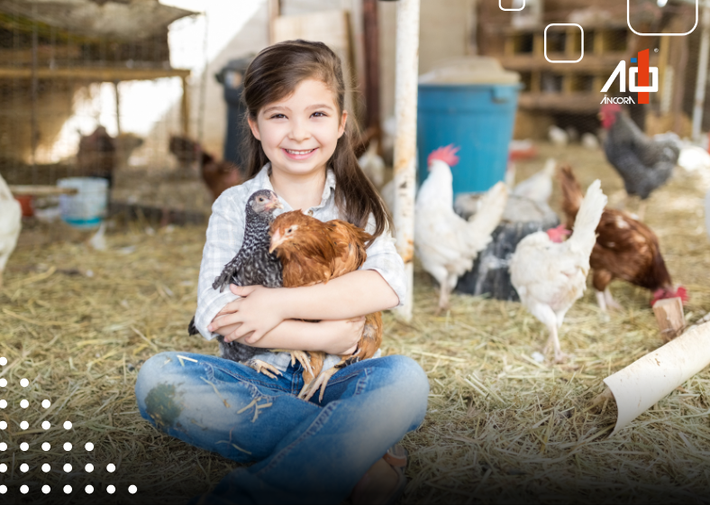 Descrição da imagem