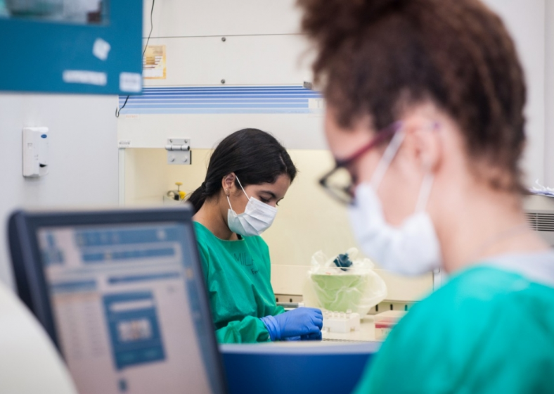 Descrição da imagem