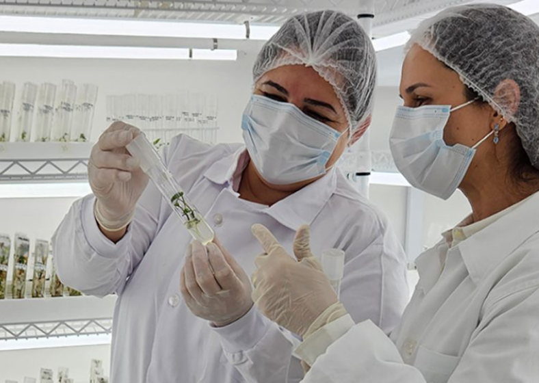 Descrição da imagem