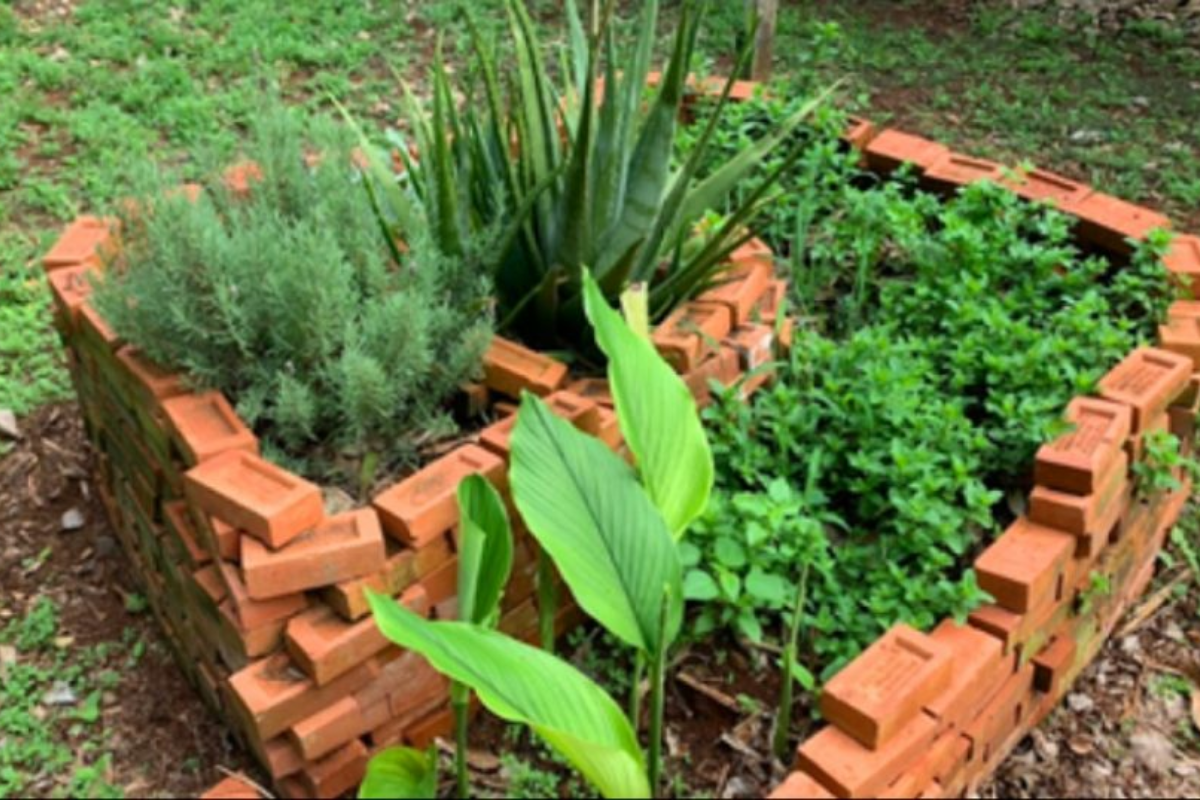 Descrição da imagem