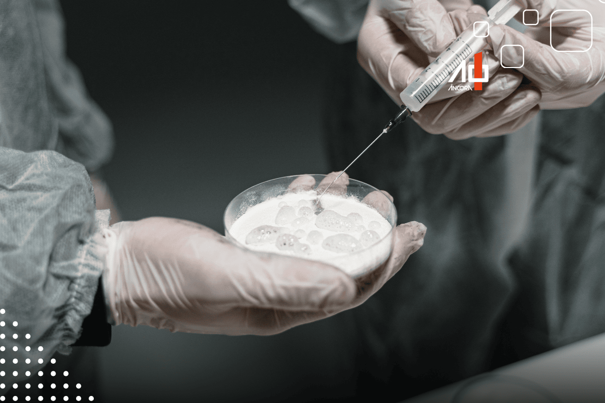 Descrição da imagem