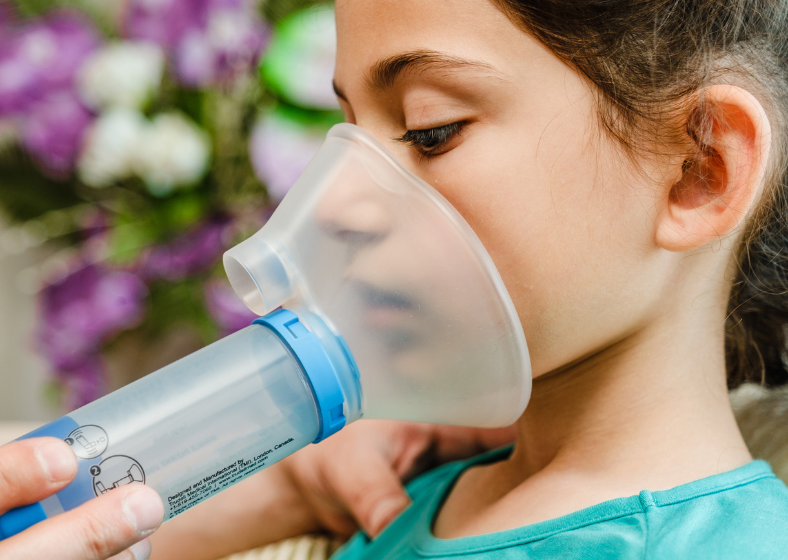 Descrição da imagem