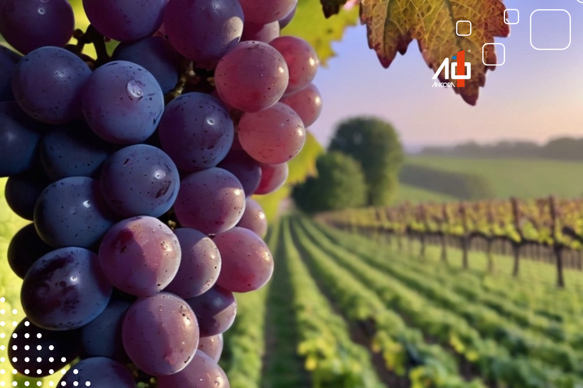 Descrição da imagem