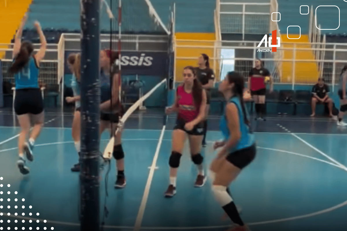 Descrição da imagem